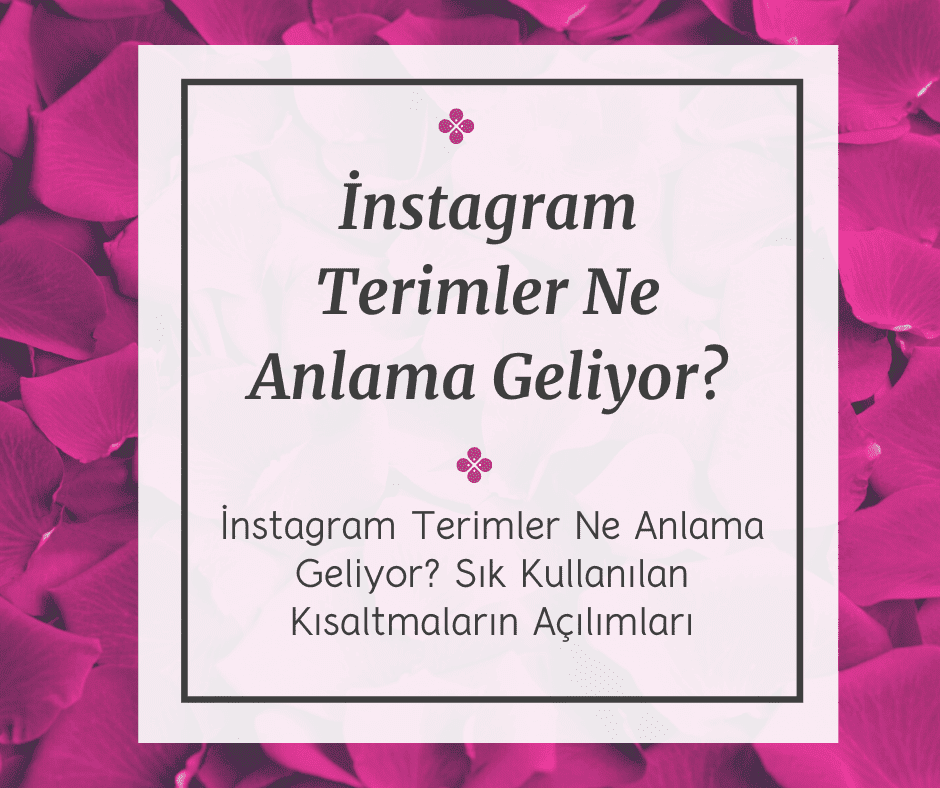 İnstagram Terimler Ne Anlama Geliyor