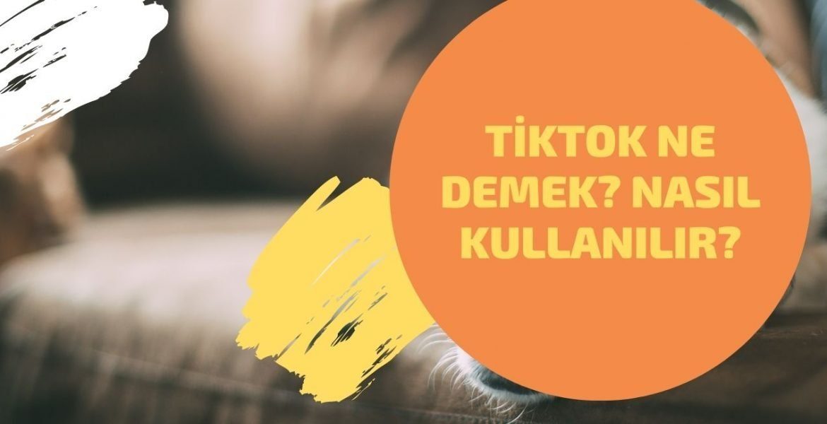 Tiktok Ne Demek? Nasıl Kullanılır?