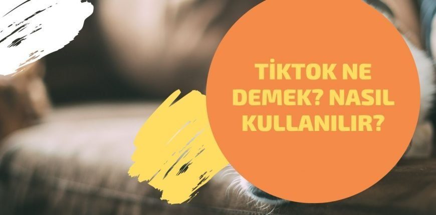 Tiktok Ne Demek? Nasıl Kullanılır?