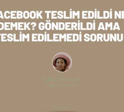 Facebook Teslim Edildi Ne Demek Gönderildi Ama Teslim Edilemedi Sorunu